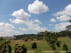 Woodgrove Condominium (D25), Condominium #119190212